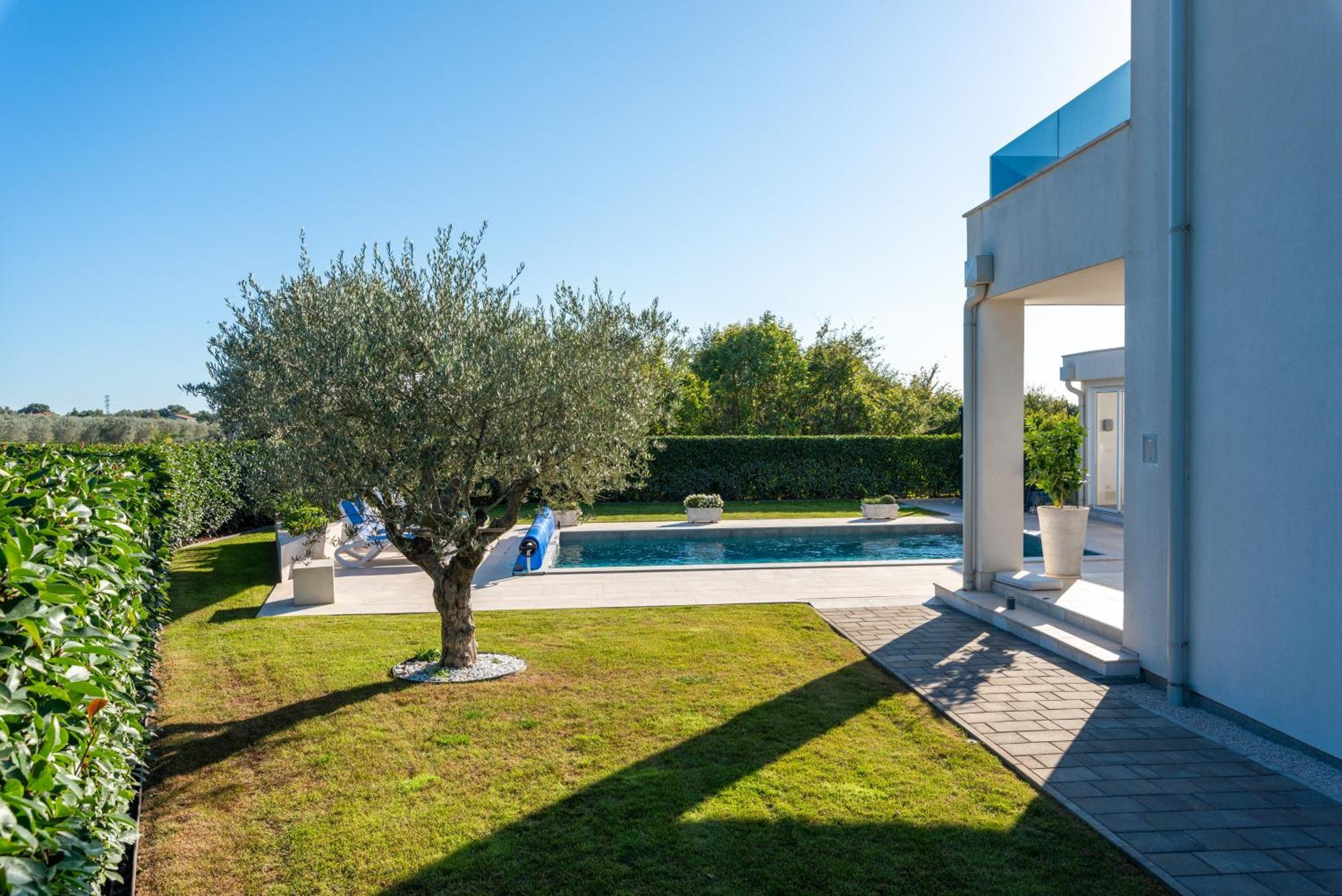 Apartment Lunne Novigrad Istria Eksteriør billede